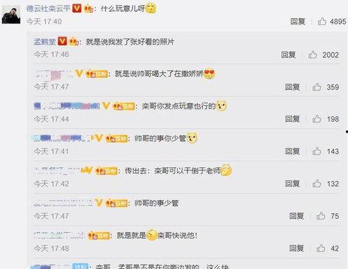 娱乐吃瓜酱评论区,揭秘明星幕后故事，笑料百出